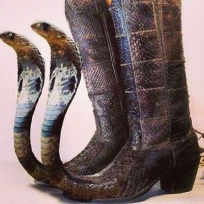 pointy_boots